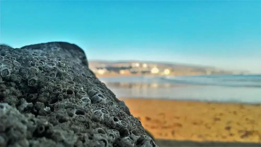 شقة Baya House Sea View أغادير المظهر الخارجي الصورة